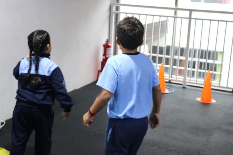 Día de la Actividad Física